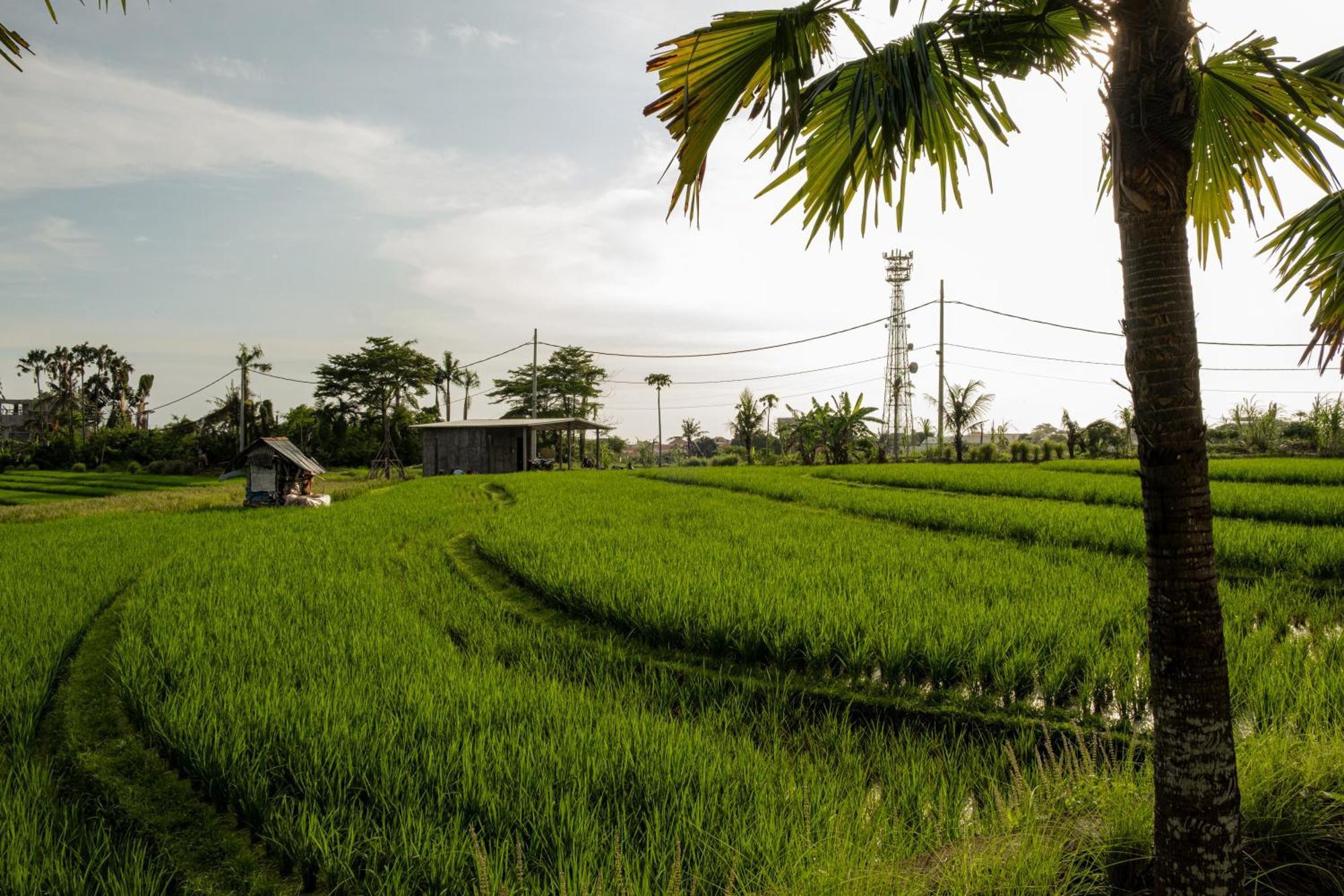 Padi Villas By Aayan ชังกู ภายนอก รูปภาพ